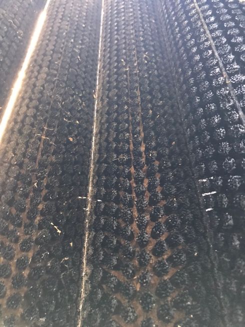 洗浄機 人参洗浄機 N-U-1503 写真８